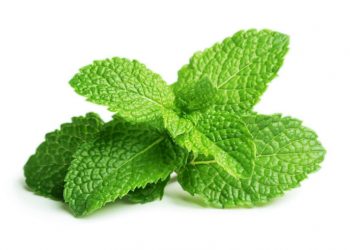 Bí kíp thiên nhiên giúp làm sạch và khử mùi vùng kín